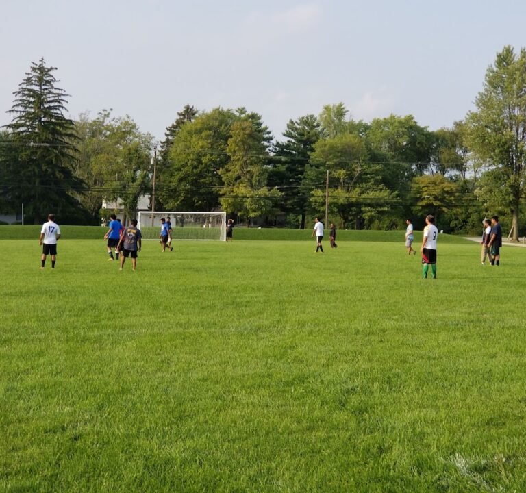 Soccer Field image 2