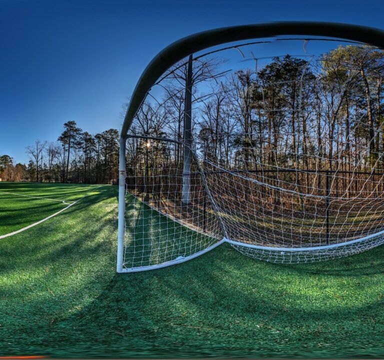 Soccer Field image 3