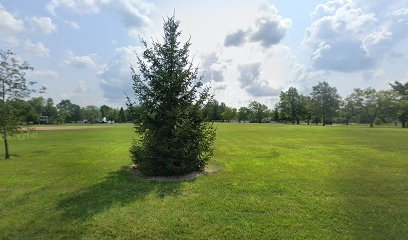 Soccer Field image 1