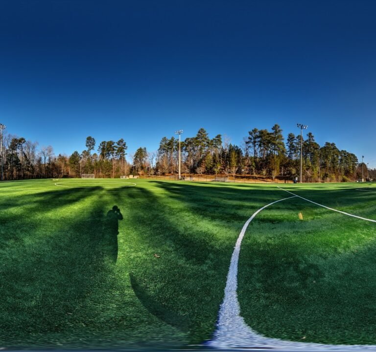 Soccer Field image 2