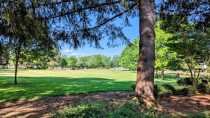 Soccer Field image 1
