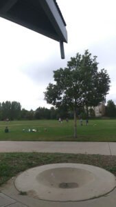 Soccer Field image 1