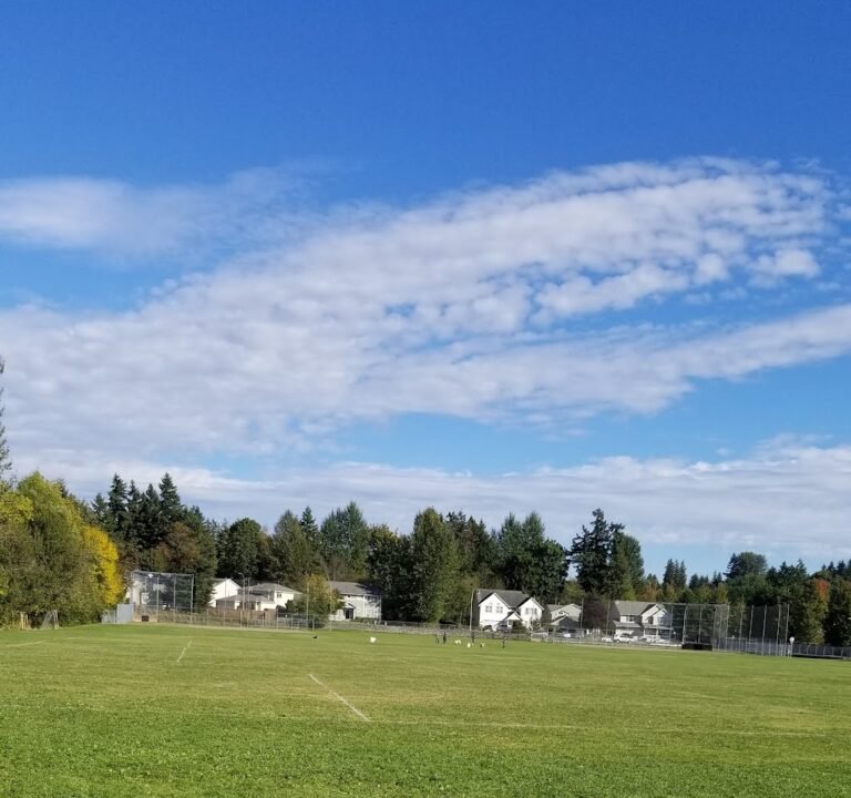 Soccer Field image 2