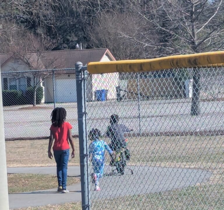 Soccer Field image 3