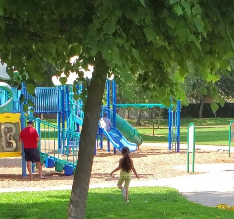 Soccer Field image 4