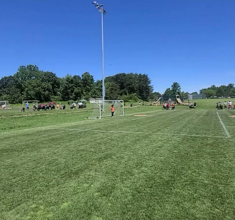 Soccer Field image 3