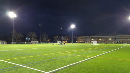 Soccer Field image 1