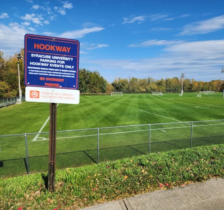 Soccer Field image 2