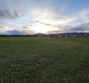 Soccer Field image 2