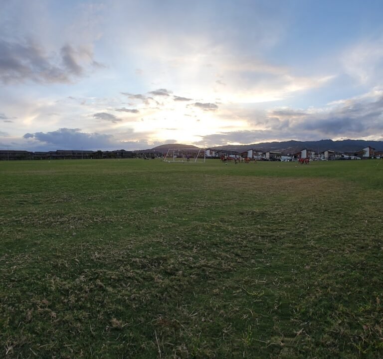 Soccer Field image 2