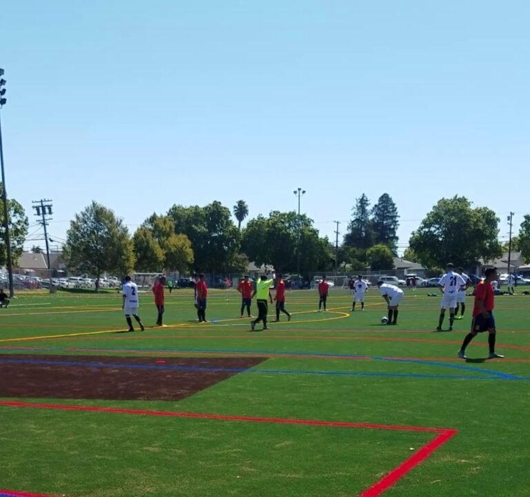 Soccer Field image 4