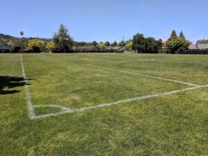 Soccer Field image 1