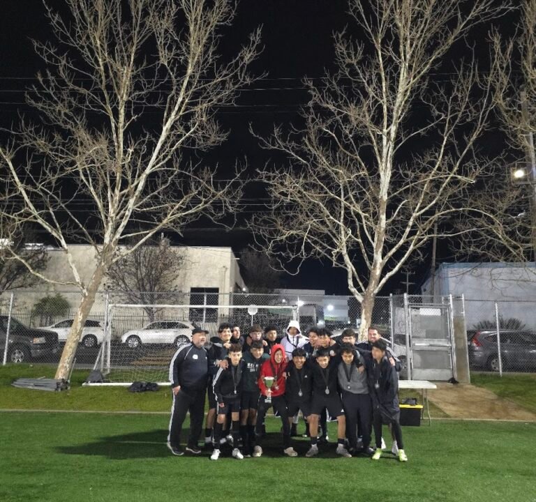 Soccer Field image 3