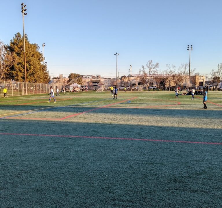 Soccer Field image 2