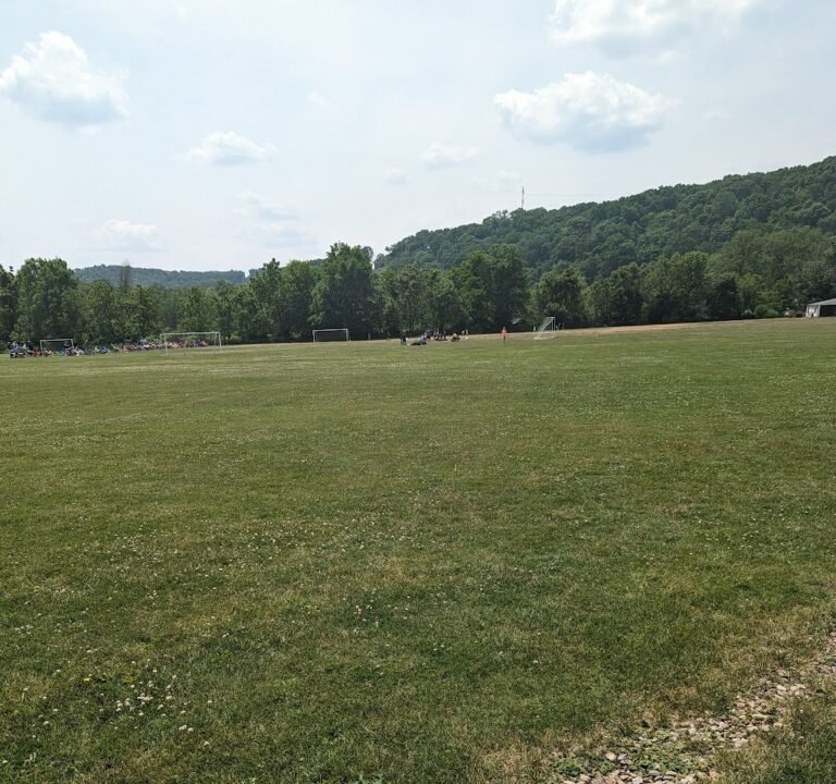 Soccer Field image 2