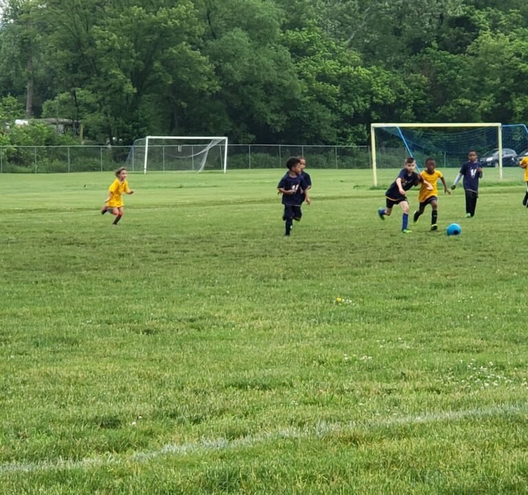 Soccer Field image 3