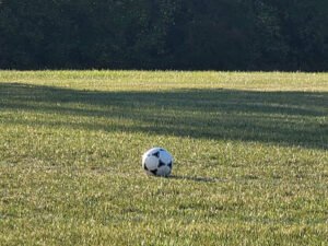 Soccer Field image 1