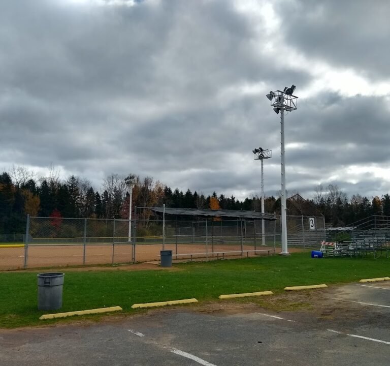 Soccer Field image 2