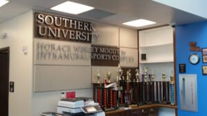 Soccer Field image 1