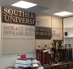 Soccer Field image 2
