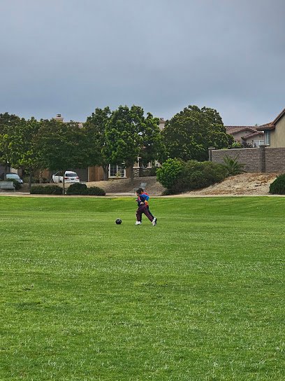 Soccer Field image 1