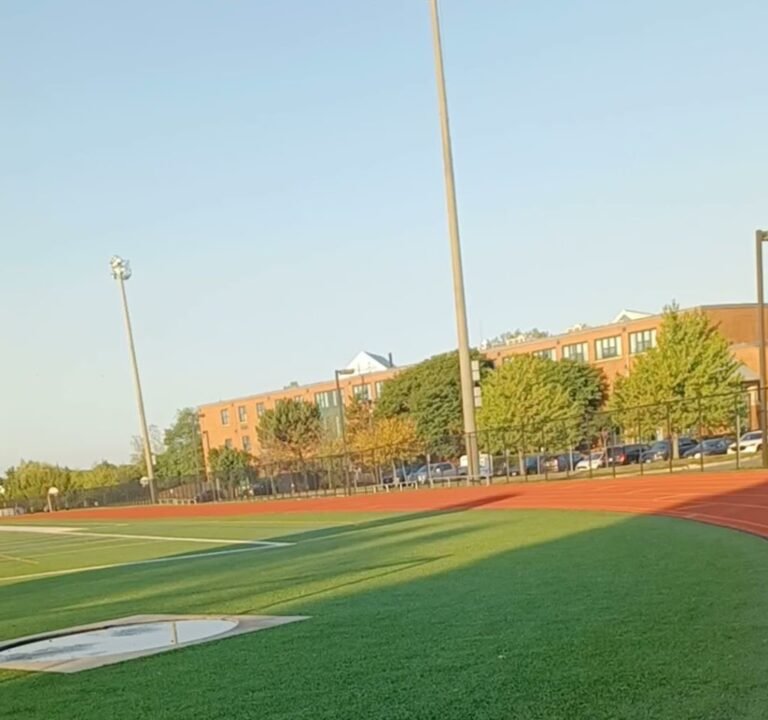 Soccer Field image 3