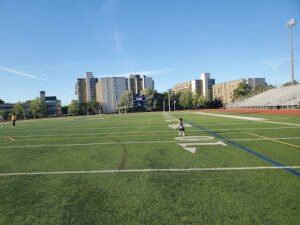 Soccer Field image 1