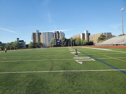 Soccer Field image 1
