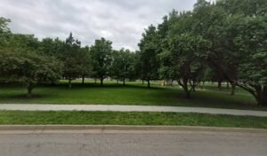 Soccer Field image 1