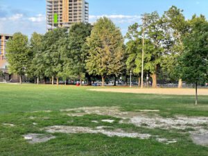 Soccer Field image 1