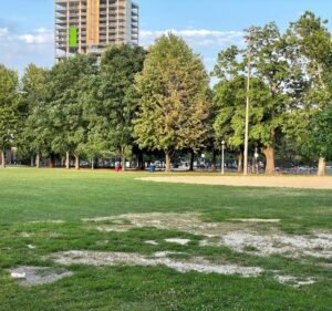 Soccer Field image 2