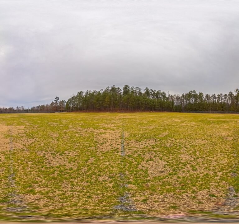 Soccer Field image 3