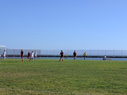 Soccer Field image 1