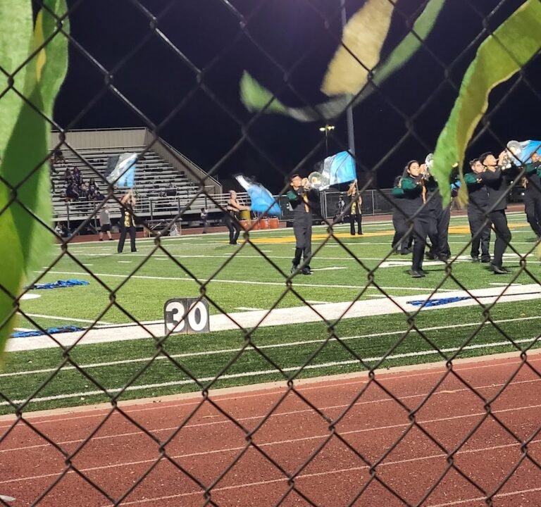 Soccer Field image 2