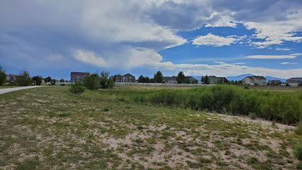 Soccer Field image 1