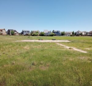 Soccer Field image 2