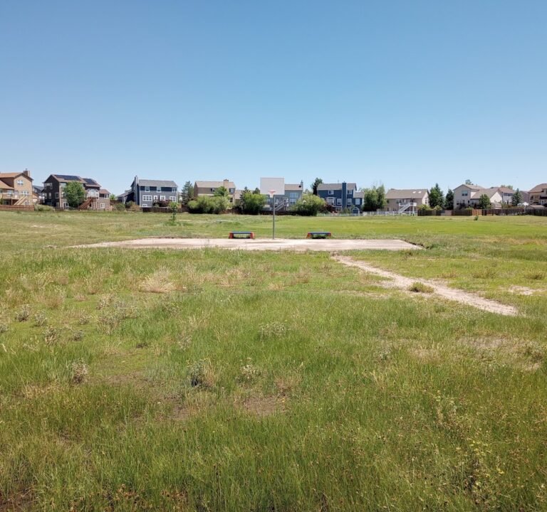 Soccer Field image 2