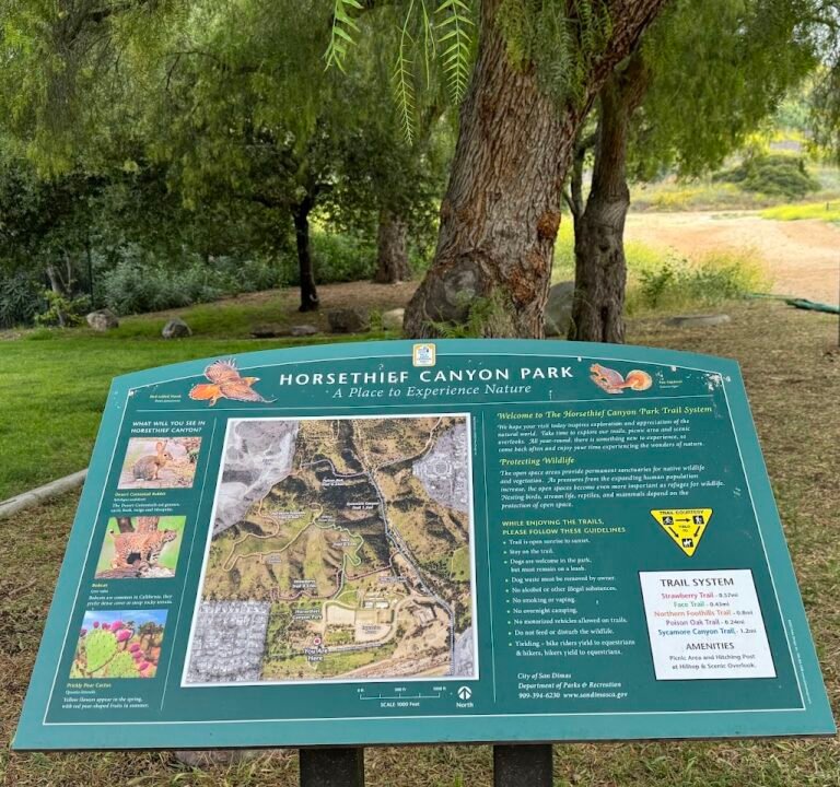 Soccer Field image 3