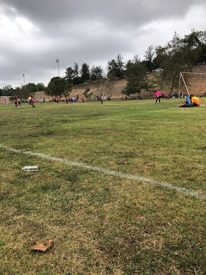 Soccer Field image 1