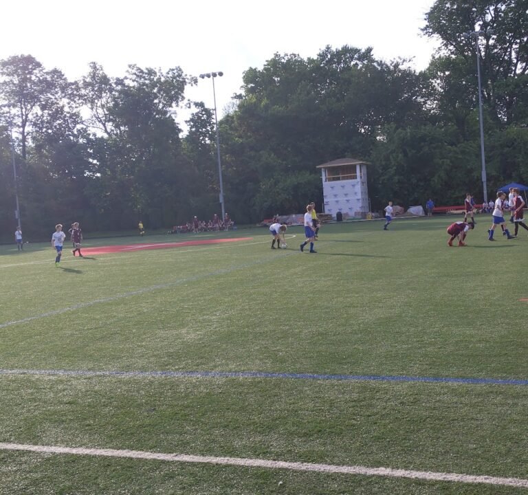 Soccer Field image 2