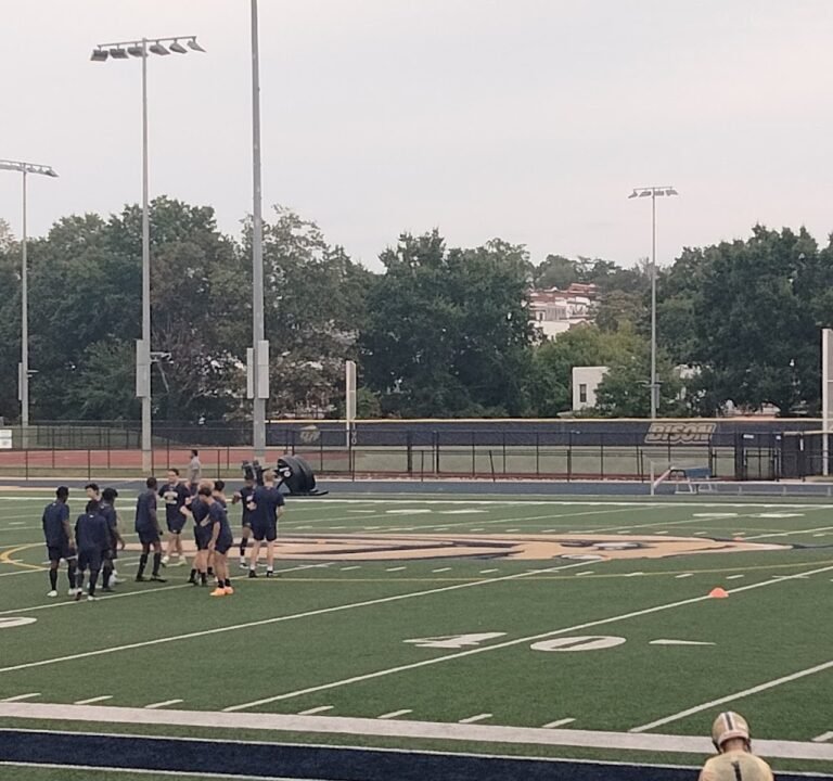 Soccer Field image 2