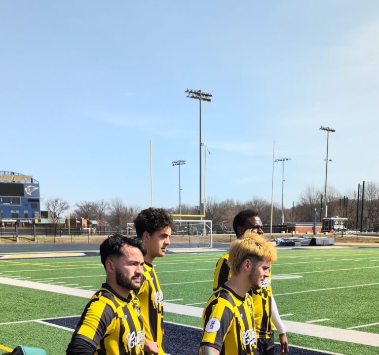 Soccer Field image 3