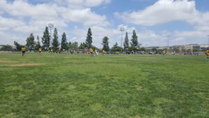 Soccer Field image 1