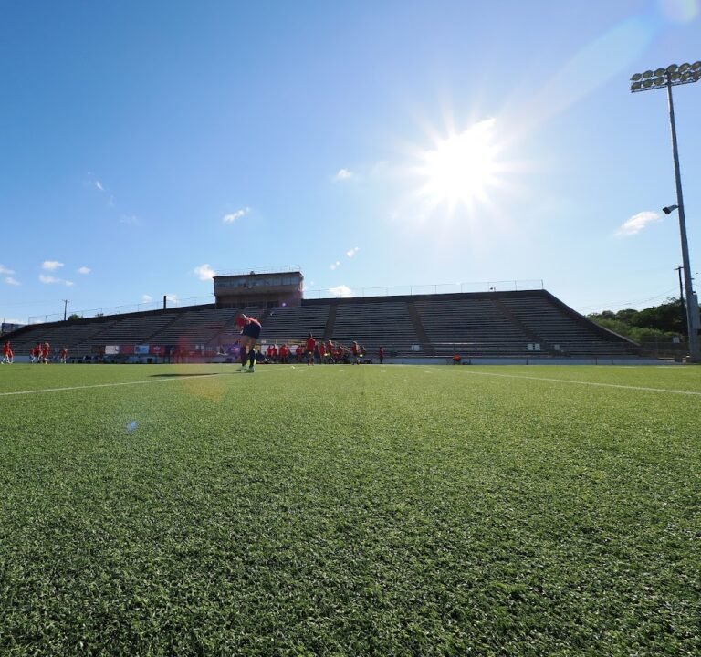 Soccer Field image 2