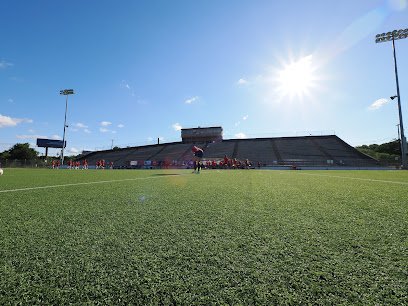 Soccer Field image 1