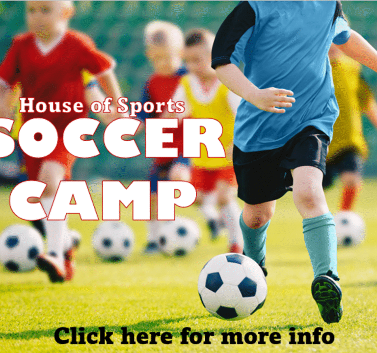 Soccer Field image 3