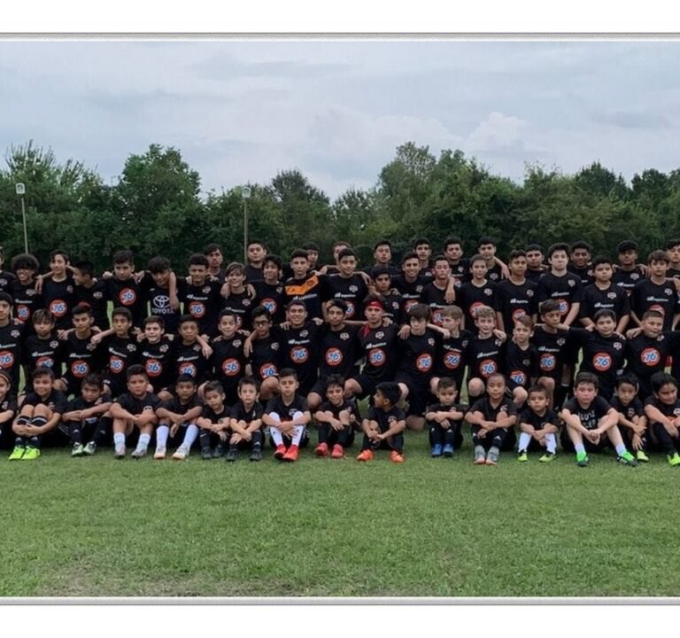 Soccer Field image 2