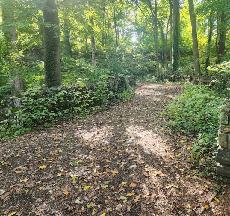 Soccer Field image 2