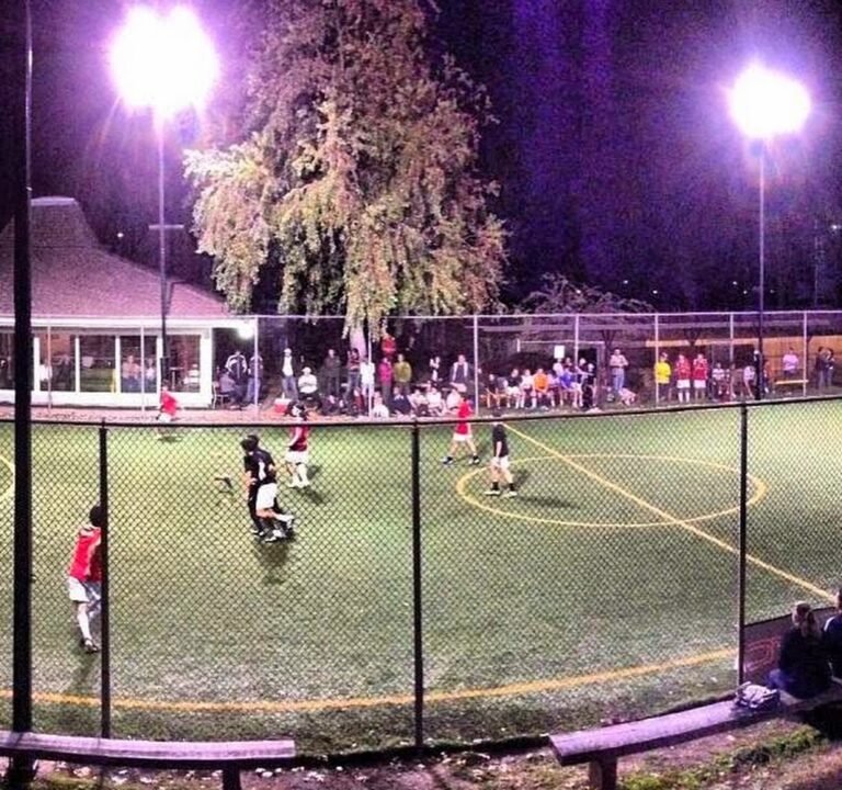 Soccer Field image 2