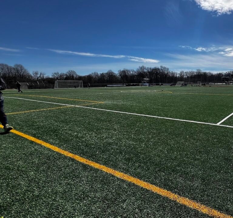 Soccer Field image 3